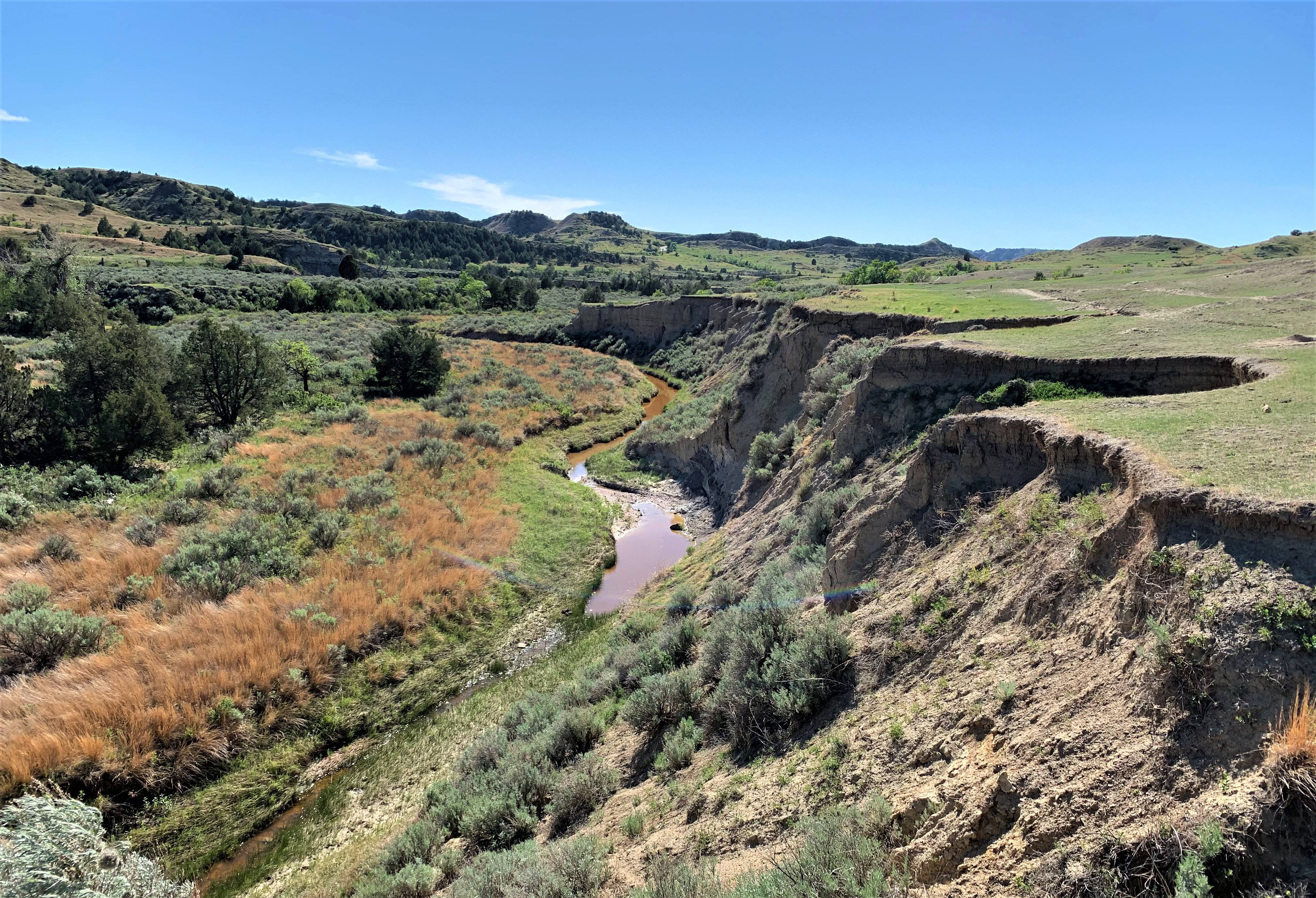 Theodore Roosevelt NP